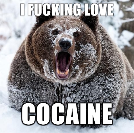 cocaine_bear.jpg